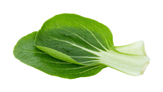 Fresh green bok choy leaf with prominent veins, isolated on transparent background