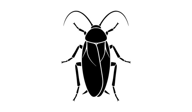 Cockroach top view black silhouette insect vector illustration for pest control