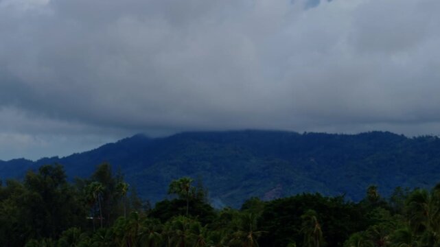 Low Clouds Drift Above a Forested Tropical Mountain Ridge and Palm Trees, Creating a Dramatic View of Lush Nature and Changing Weather