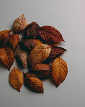 Vibrant Mosaic of Red, Orange, and Yellow Autumn Leaves Gathered on Rustic Wooden Surface