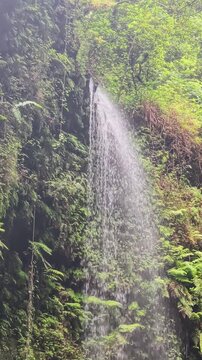 Chorro de agua de la cascada de Los Tilos en La Palma