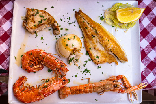 Close-up view of gourmet mixed grilled seafood platter with grilled fish fillet, cuttlefish, swordfish steak,  arge prawns, and langoustine scampi, typical Mediterranean Italian food.