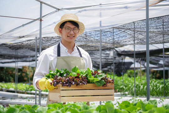 A man wearing a straw hat and apron is holding a basket of vegetables