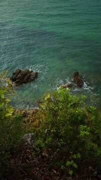 Ocean Waves Wash Around Dark Coastal Rocks Below Lush Green Cliff Vegetation, Viewed From Above With Clear Turquoise Water Showing Nature And Tranquility Vertical video.