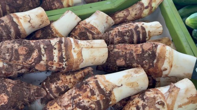 Market crates hold kolokasi roots in Cyprus, arranged as fresh taro produce for sale. Earthy roots with cut stems suggest harvest time and busy local food market, with roots stacked in trays.
