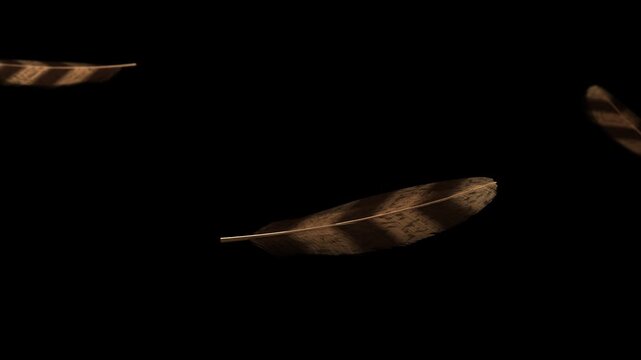 3 striped feathers drifting left rotating bobbing from breeze showing texture on transparent field