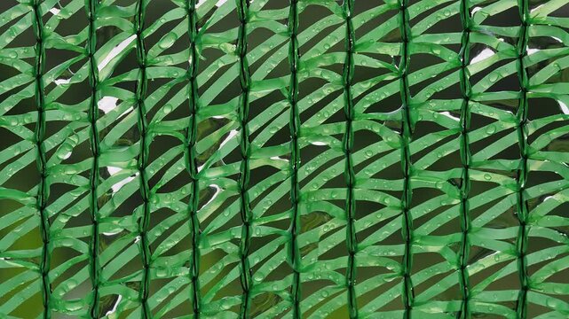 Water Droplets Cover a Green Leaf Pattern, Creating a Textured Abstract Background With Freshness and Nature