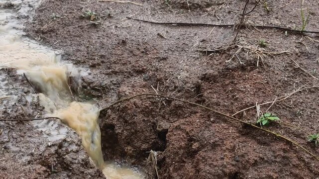 Rainwater flowing through a small channel in muddy soil