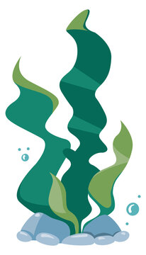 Green underwater plant cartoon icon. Aquatic algae