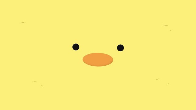 Cute Cartoon Chick Face Minimalist Animation Loop