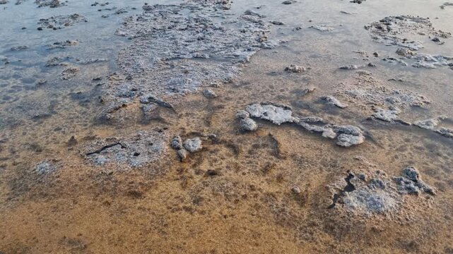 A close-up view of shallow, rippling saltwater over muddy ground with a crust of white mineral salts.