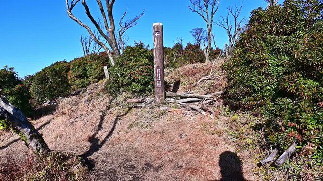 伊豆半島の魂ノ山　伊豆山稜線歩道が直角に曲がる地点　ミソウ台へ向かうバリエーションルートの入口
