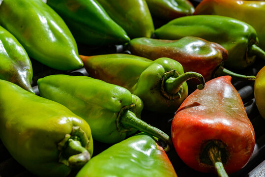 fresh green peppers