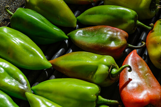 fresh green peppers