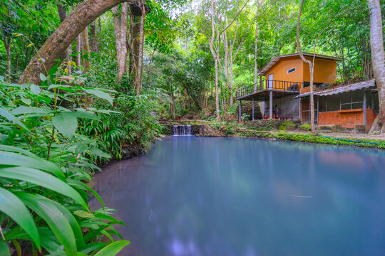 Kathu Dam waterfall water gently flowing down the rocks surrounded by lush green trees flowers and tables Patong on the Island of Phuket Thailand