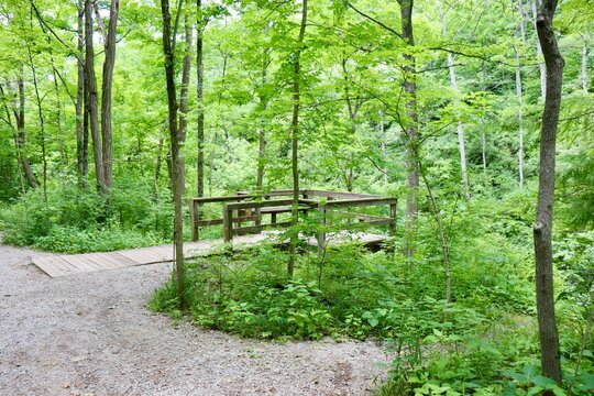 The wooden overlook in the forest.