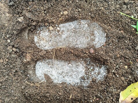 A pair of human footprints pressed into the damp dark soil.