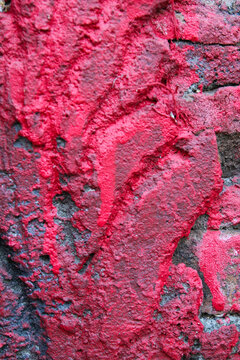 Vibrant red lichen clings to weathered stone surface. Frosty patches contrast with vivid, textured growths. Natural patterns spread across rugged, uneven terrain. This scene evokes wild, untamed earth