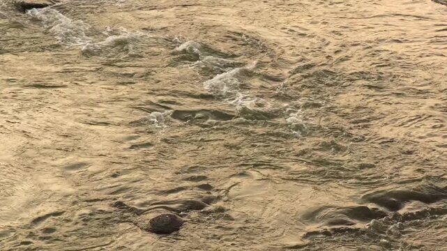 Golden Hour River Rapids Stock Footage: Close Up of Choppy Water and Fast Flowing Current over Rocks, Sunlit Rushing Stream, Ripple Texture Background, Outdoor Nature Elements 4K