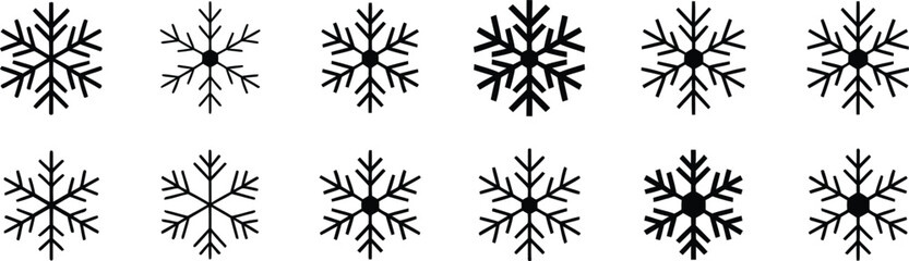 Obraz premium Twelve black snowflake arranged in two rows on a white background winter