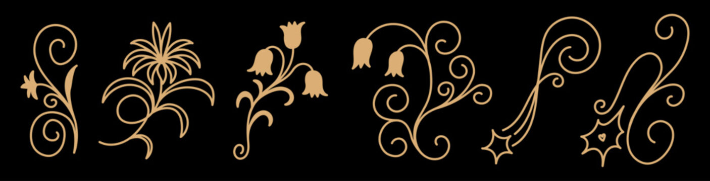 Elegant Floral Vector Flourishes with Curly Botanical Ornaments, Vintage Decorative Swirls and Ornate Foliage Elements for Wedding Invitations, Branding, Packaging, Stationery and Luxury Design