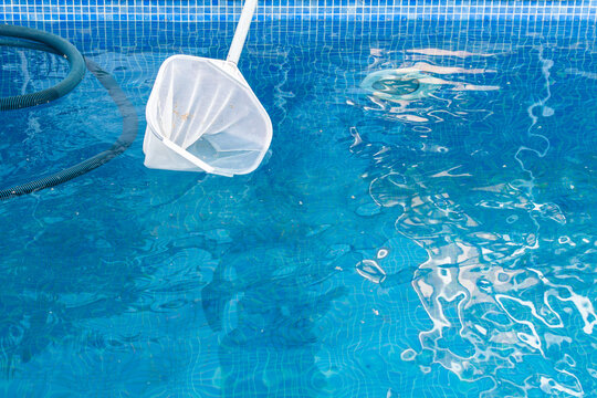 Pool skimmer net removing leaves and debris from clean swimming pool water