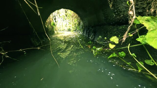 Flowing water stream inside dark concrete tunnel with green foliage