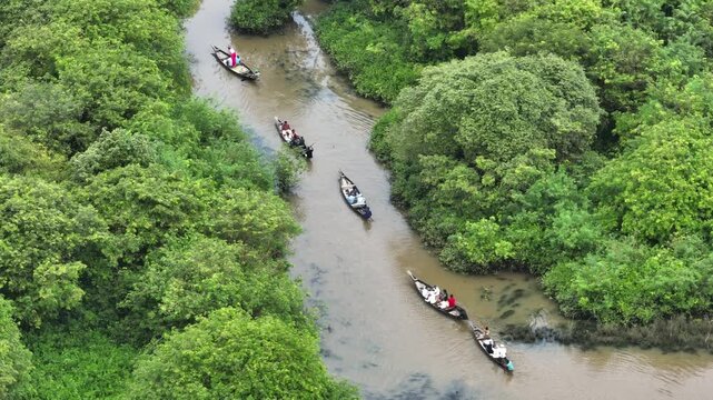 People navigating canoes on river through mangrove forest