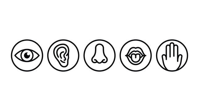 Senses icon collection representing human perception and body