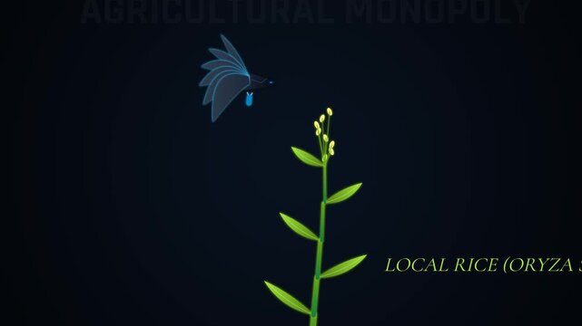 Animation of a local Oryza sativa rice plant being choked by a genetically modified steel-thorn parasite, highlighting agricultural monopoly, toxic dependency, and ecological system equilibrium