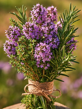 Rustic Bouquet of Wild Thyme and Rosemary: Earthy Aromatic Delight Set Against Natural Wooden Background