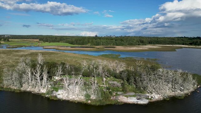 Aerial drone footage of Lammassaari in Helsinki, Finland, a peaceful natural area known for its birdlife, wetlands, reed beds, and coastal landscape