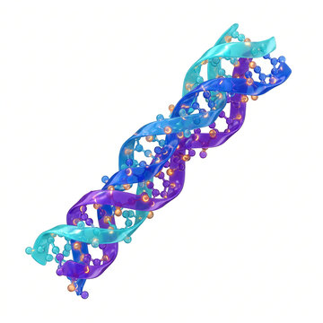 Collagen Triple Helix Fibrous Structural Protein Strand 3D