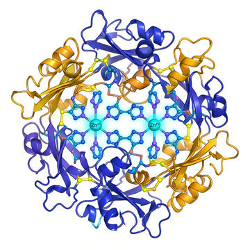 Insulin Hexamer Hormone Molecular Crystal Structure 3D Render