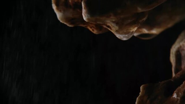 Extreme macro wet coral stone with rain drop at night BMA Visuals Horizontal Video