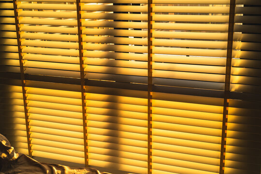 Golden Sunlight Through Wooden Blinds with Shadows, Cozy Morning Atmosphere