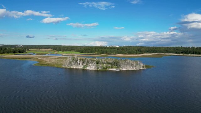 Lammassaari Island Seen from Birdwatching Area, Helsinki, Finland