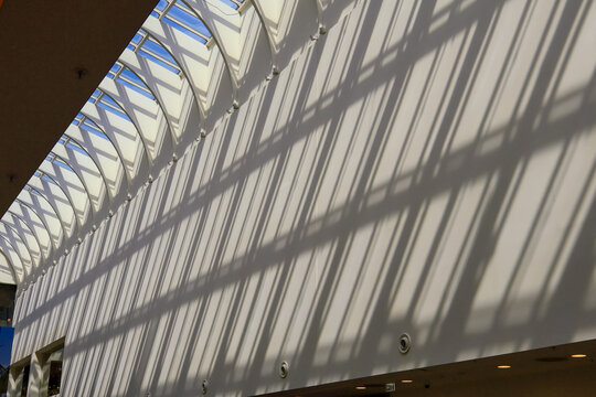 Dynamic white arched ribs frame blue-tinted glass panels in rhythmic pattern; interplay of light and shadow creates sleek, futuristic mood