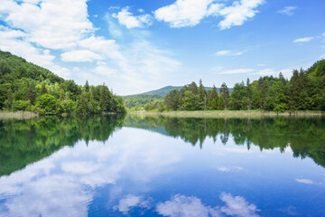 Obraz premium Blue lake mirrors a bright sky inside Plitvice Lakes National Park, Croatia