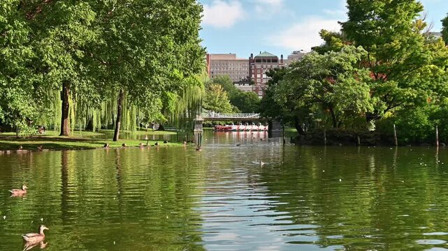 View of the iconic Boston Public Garden in Massachusetts, USA on a sunny summer day.