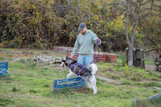 Bearded man in cap holds husky on leash near old wooden crates, walking dog whatever weather brings, friendship without any condition. Wide shot. Concept of walking dog in autumn park