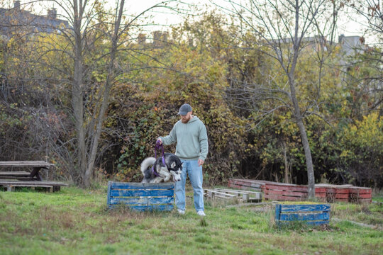 Husky climbs on wooden crate while owner praises him from side, walking dog whatever weather brings, friendship without any condition. Wide shot. Concept of walking dog in autumn park