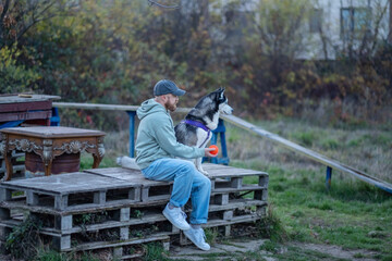 Bearded man sits alone with orange ball waiting for husky to come, training done without any spectators, moment without any command. Wide shot. Concept of training work of dog and owner © iwavephoto