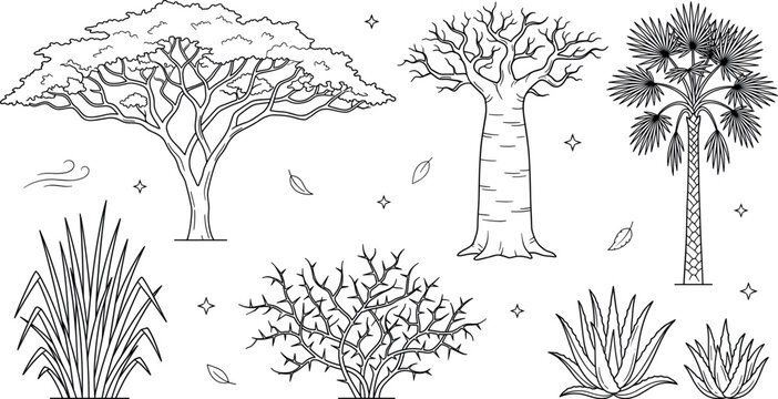 Savanna trees coloring page vector set with acacia baobab palm bush grass and succulent plants for nature book