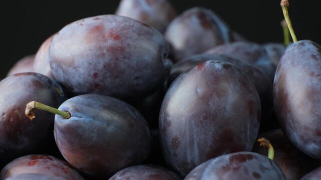 Slow rotation of ripe purple plums macro close up video