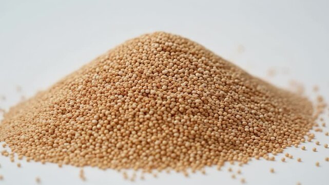 Close-up of a pile of amaranth seeds.