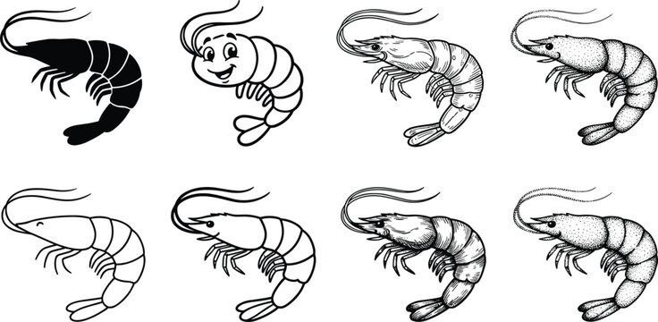 Versatile shrimp design asset collection showing various rendering options from cute cartoon characters to realistic handdrawn textures