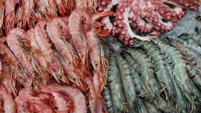 Fresh shrimp and octopus displayed on ice at seafood market stall. Raw prawns and crab arrangement at fish shop counter. Marine delicacy and healthy food concept.