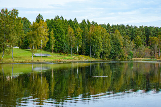 Autumnal trees and white birches, a grassy slope with solar panels, and a reflection in the lake water.