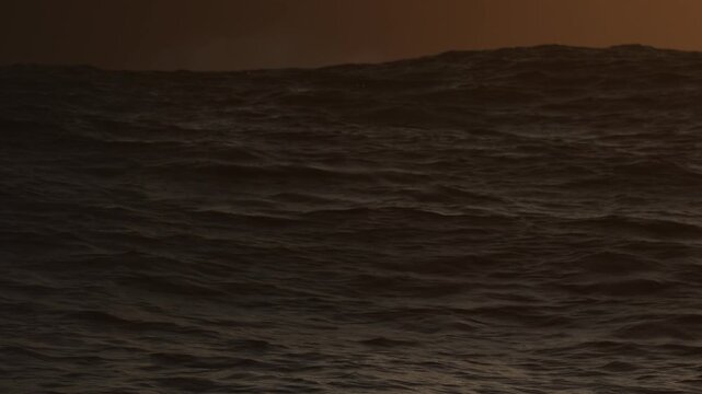 A breathtaking golden sunset illuminates the ocean along the coast of South Africa, casting warm reflections across the water. A large dark wave rises dramatically in the foreground, creating a